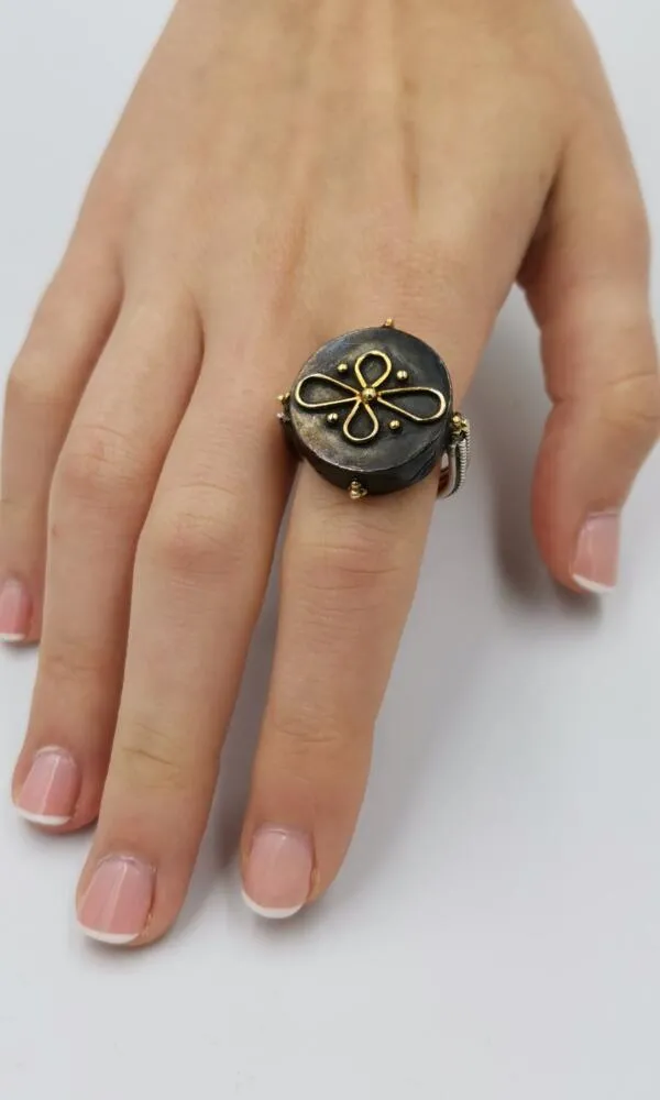 SG206 / Gold K22 and oxidized silver ring